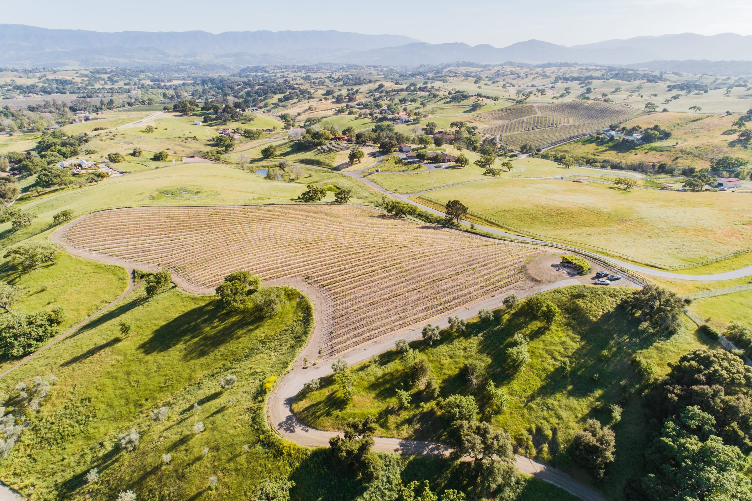 A hillside vineyard from the air